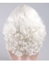 Santa Claus Wig and Beard Set HX-016